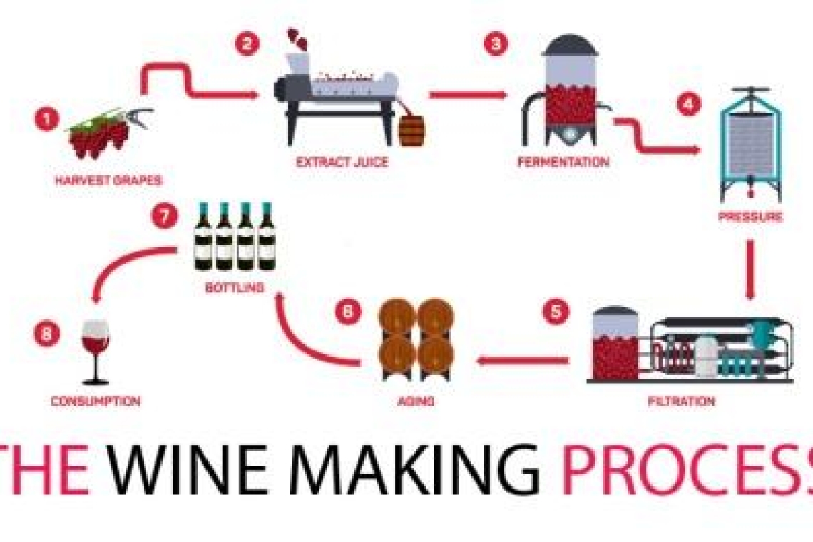 Как Делают красное вино Шаг за шагом