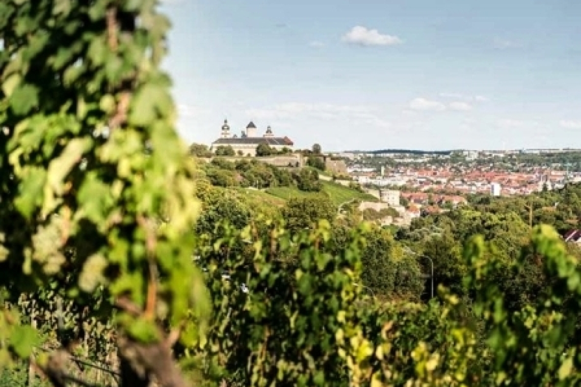 Вюрцбург, город вина: дегустация в винодельческих хозяйствах