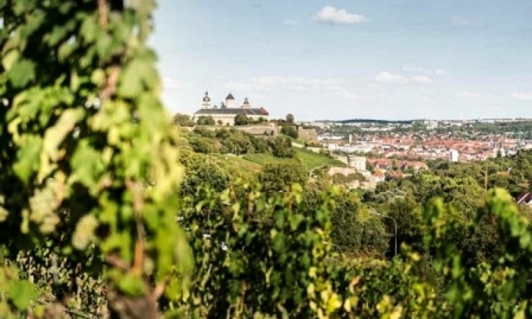 Вюрцбург, город вина: дегустация в винодельческих хозяйствах