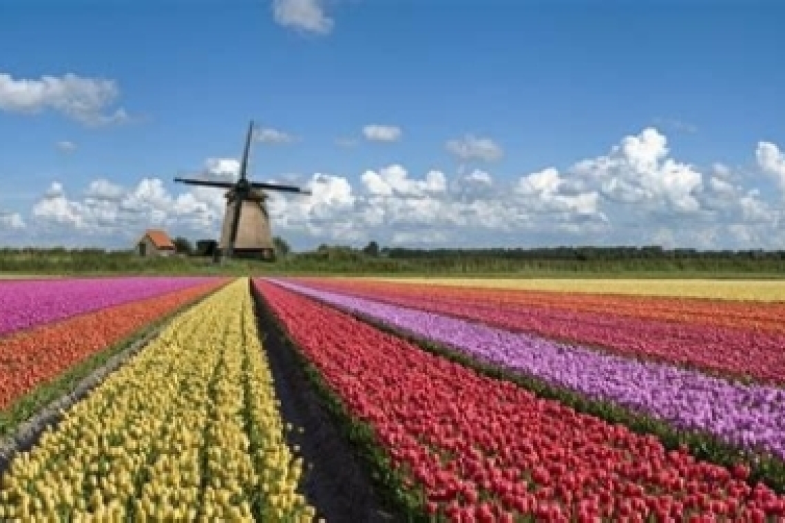 Нидерланды. Страна ветряных тюльпанов.