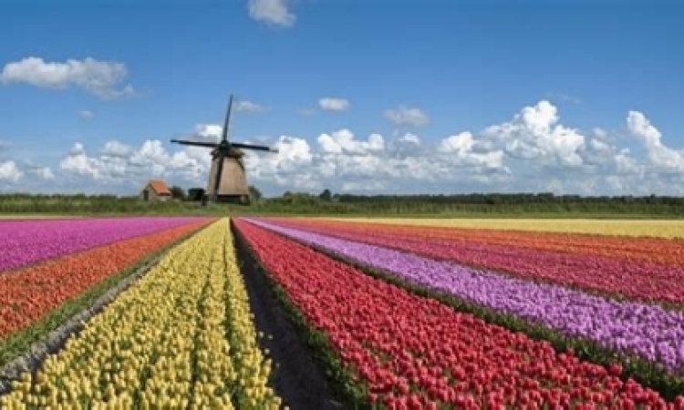 Нидерланды. Страна ветряных тюльпанов.