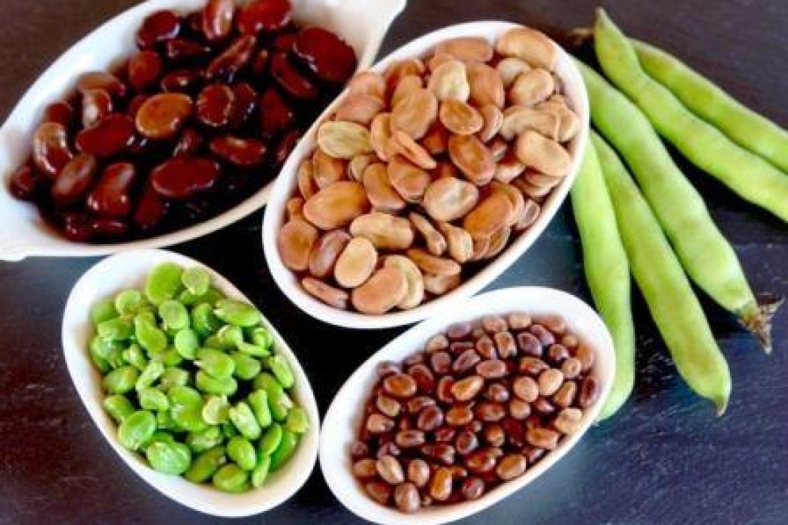 Бобы Фава арабские