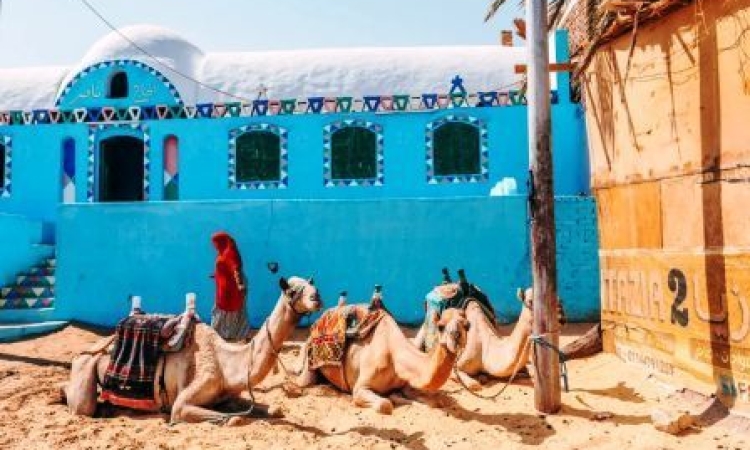 Египет. Асуан - южная жемчужина.