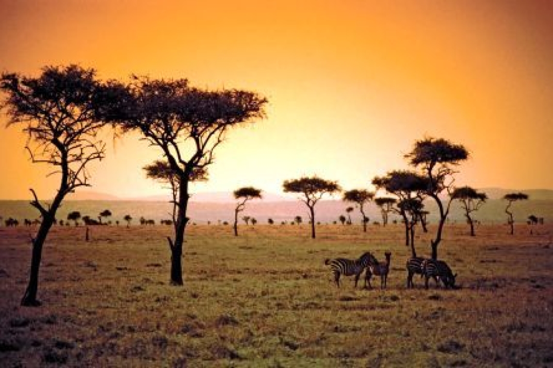 Поток туристов в африканские страны растет