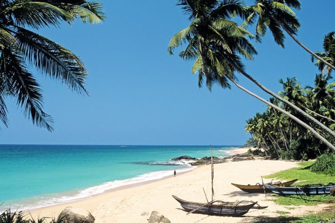 Опасная болезнь на Шри-Ланке