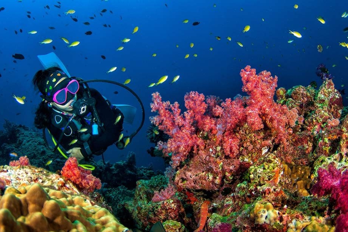 Лучшие места для дайвинга в Египте
