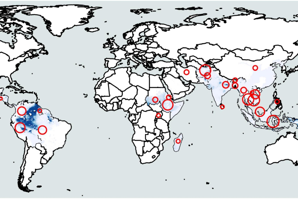 Опасность заразиться малярией в путешествии