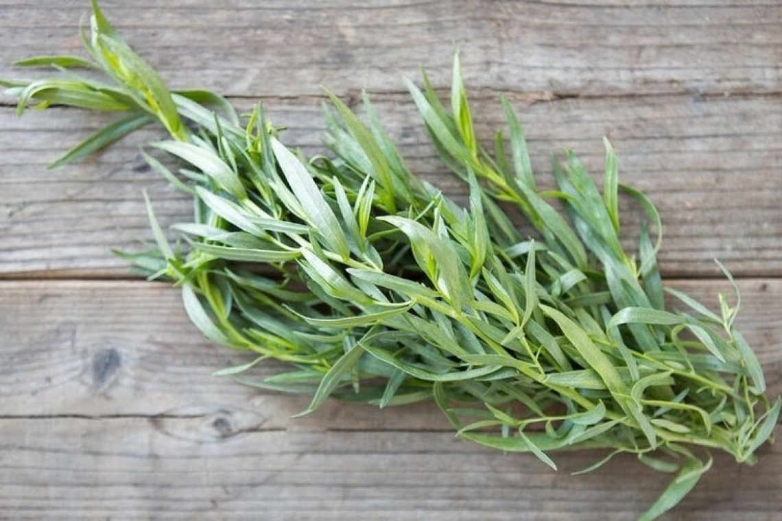 Тархунный самый пикантный уксус