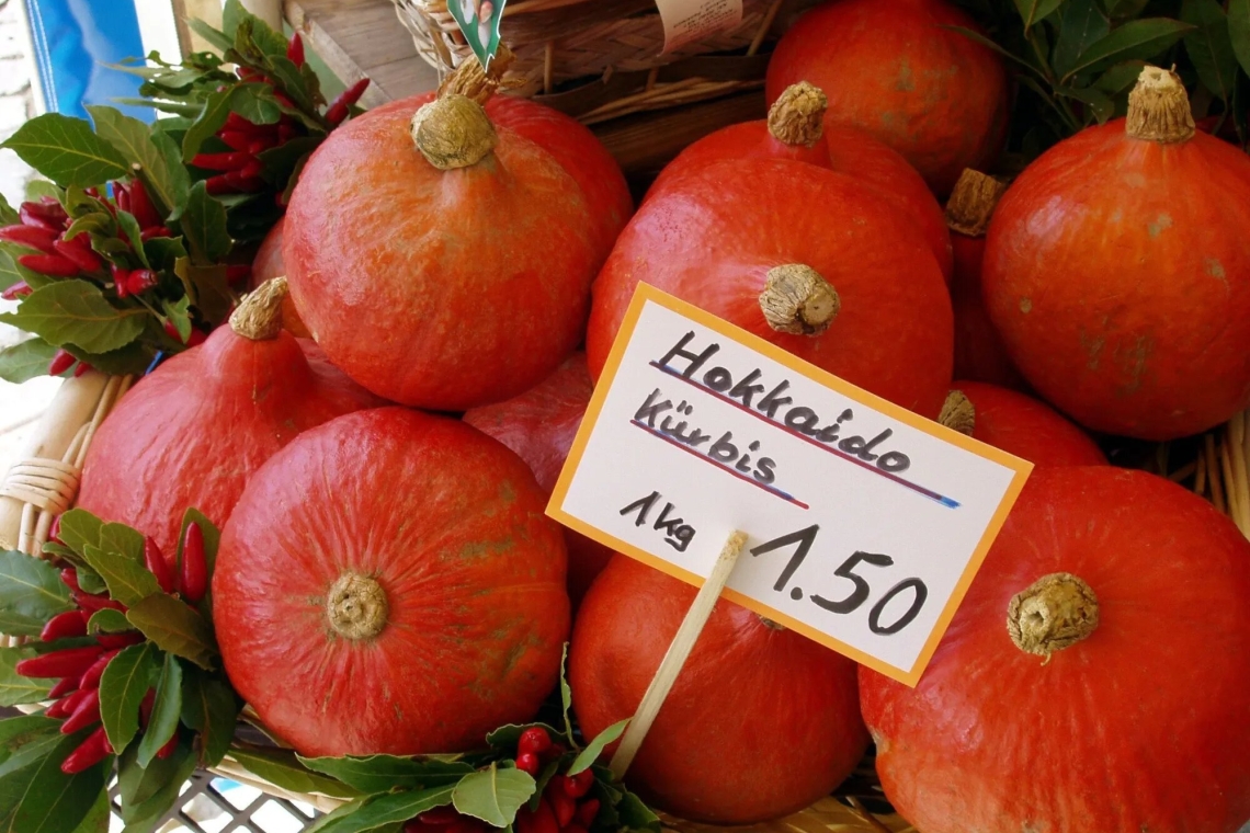 Японская тыква Хоккайдо