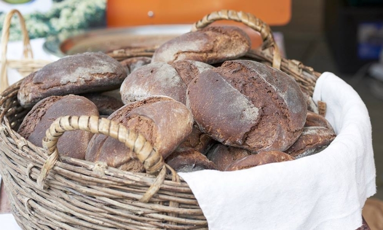 Вкусы и традиции выпечки хлеба на маршруте в Апуанских Альпах